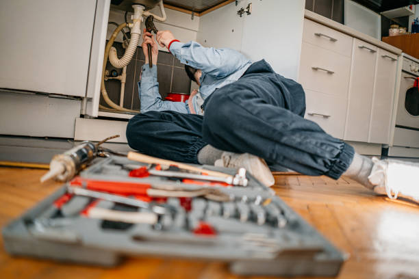 Best Clogged Drain Plumber  in Guntown, MS